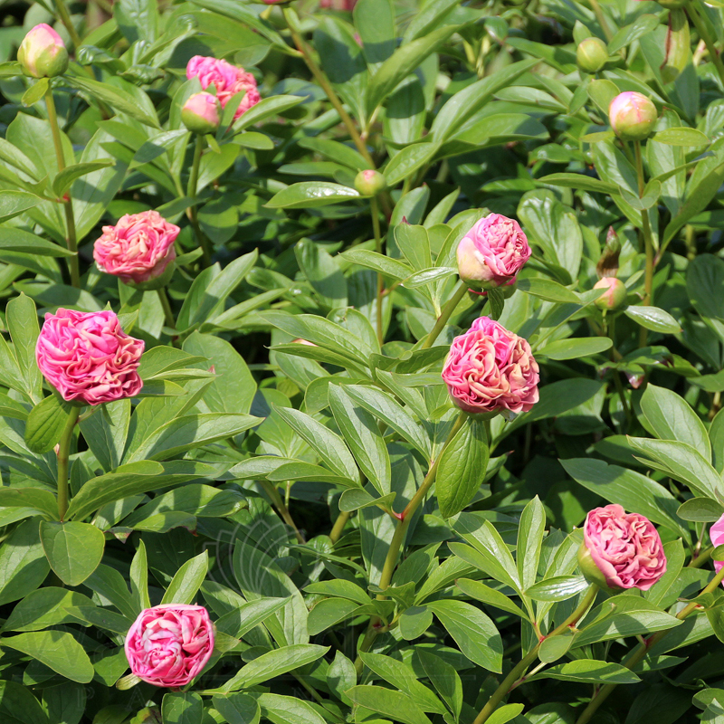 Unable to fetch data.